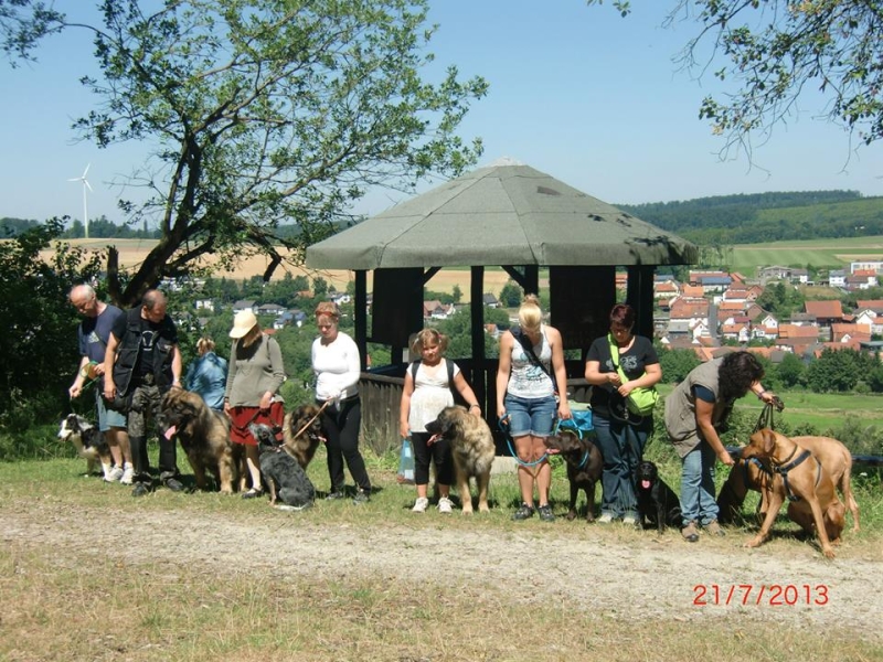 Wanderung Dreinberg 21.07.2013  1